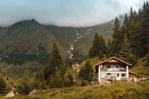 A Peaceful Haven