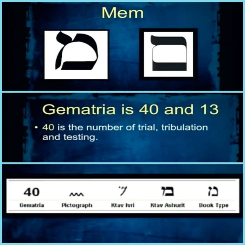 Study #10 MEM