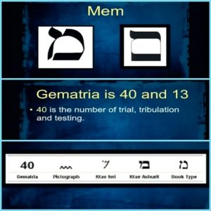 Study #10 MEM
