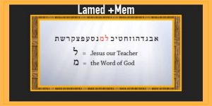 Study #7 MEM
