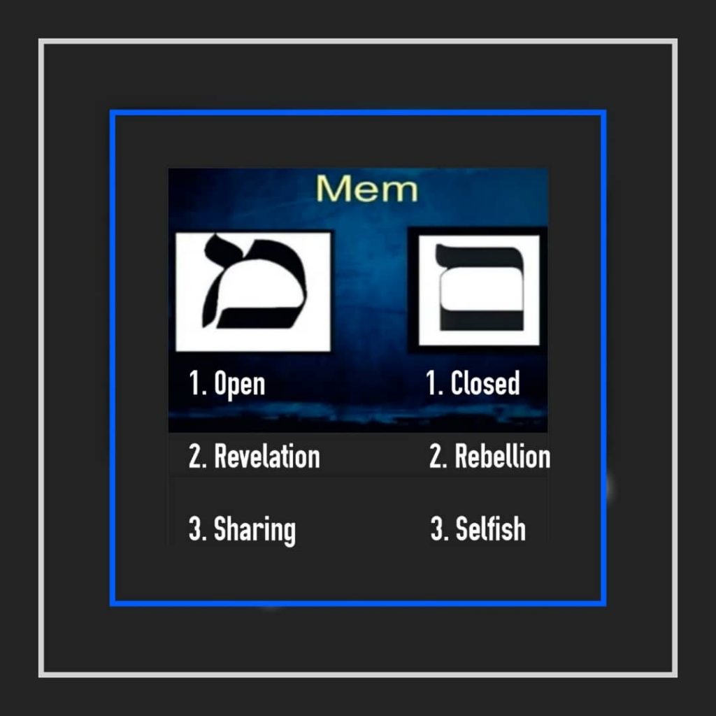Study #8 MEM