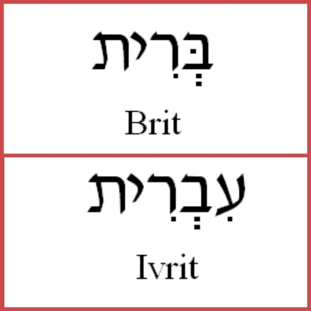 Study #10 AYIN