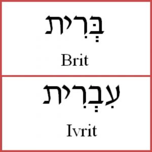 Study #10 AYIN