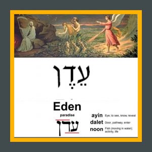 Study #12 AYIN