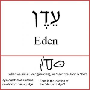 Study #13 AYIN