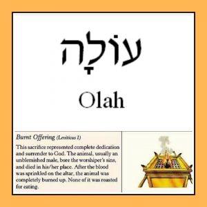 Study #16 AYIN