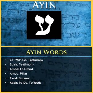 Study #4 AYIN