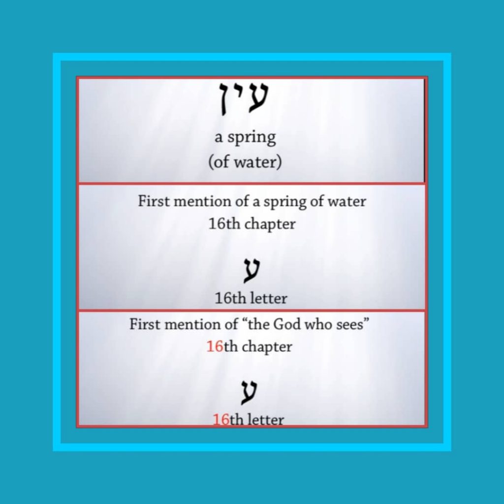 Study #7 AYIN
