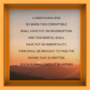 Study #39 AYIN